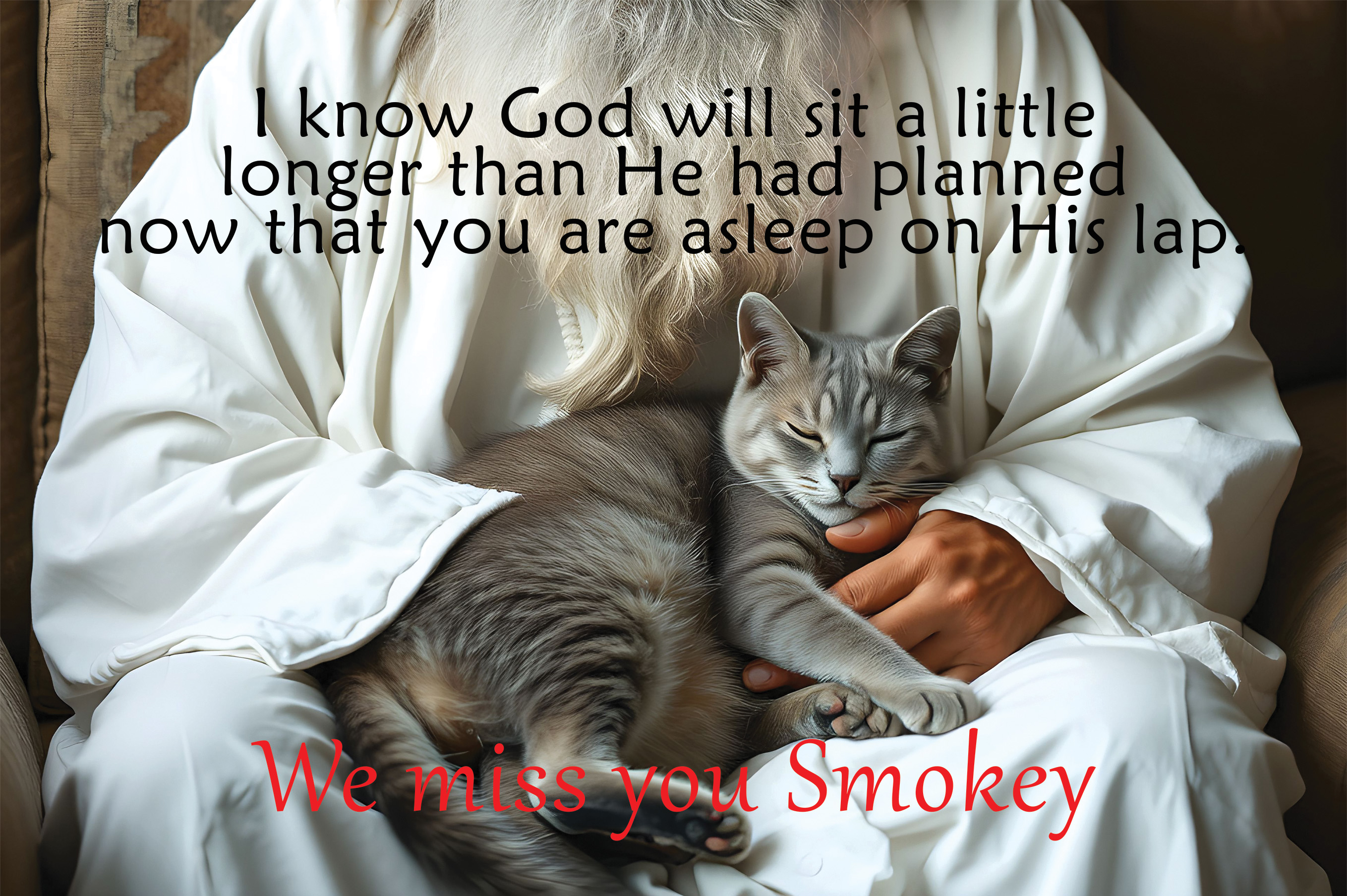 In God's Lap Black Cat Aluminum Print